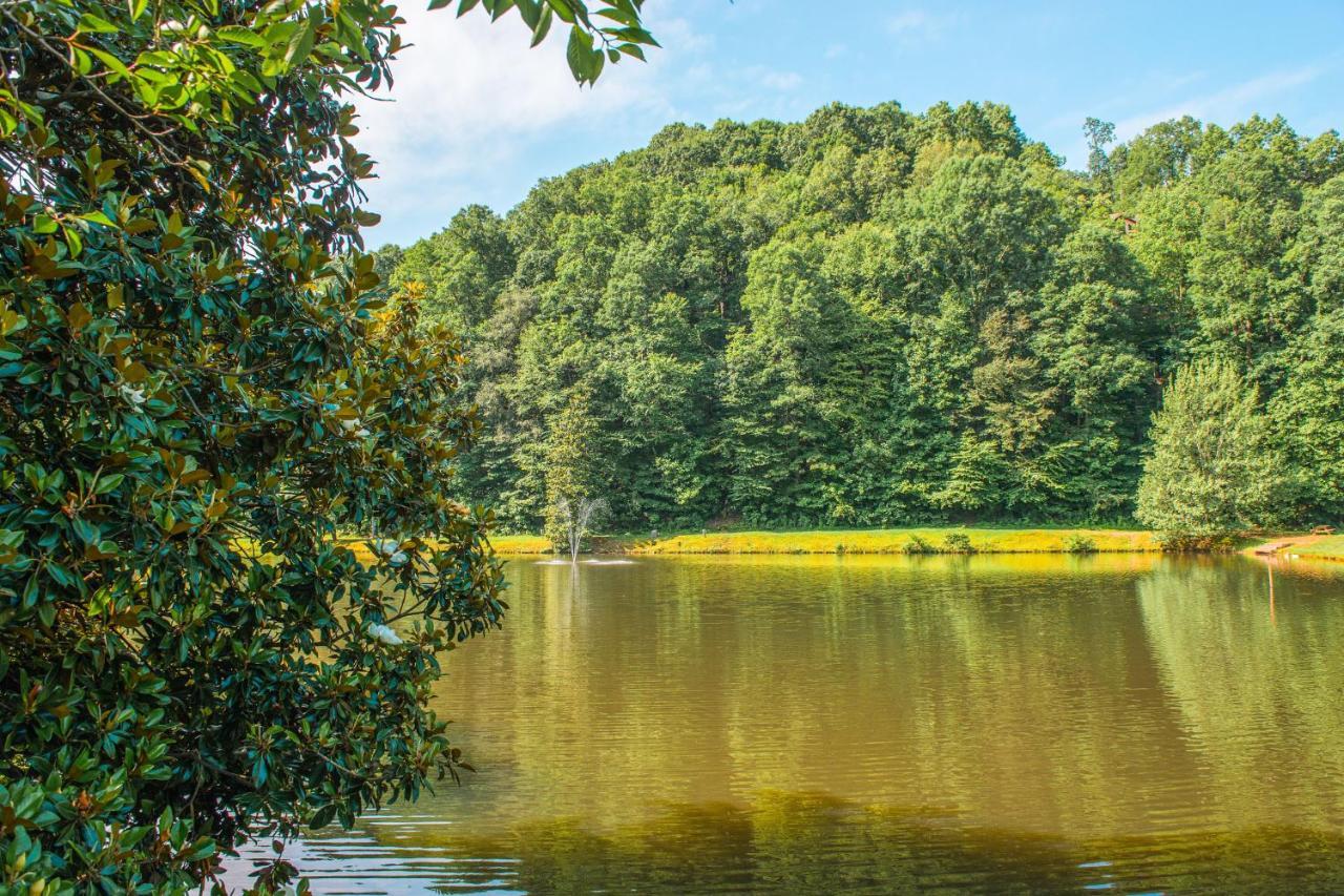 Вілла Star Seasons Retreat Елліджей Екстер'єр фото